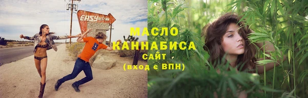 шишки Верея