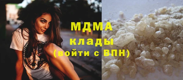 шишки Верея