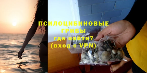 шишки Верея
