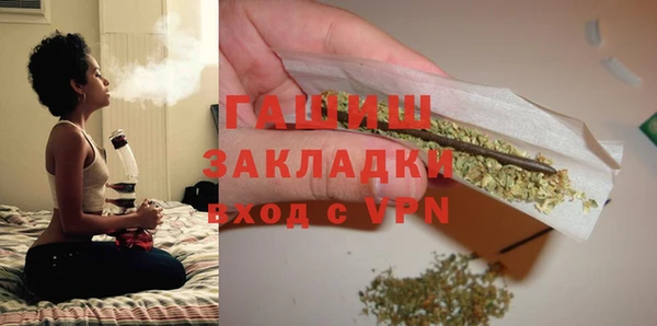 шишки Верея