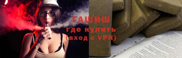 шишки Верея