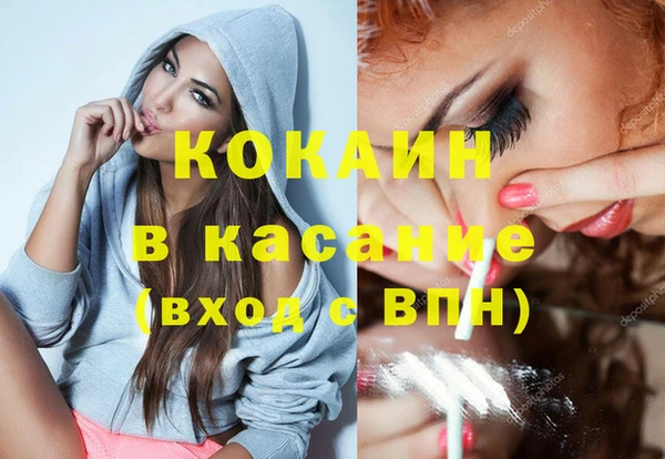 шишки Верея