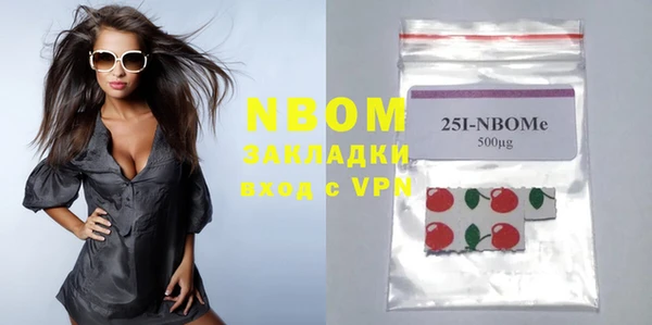 шишки Верея