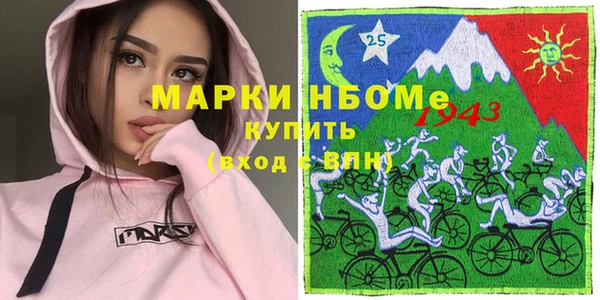 шишки Верея
