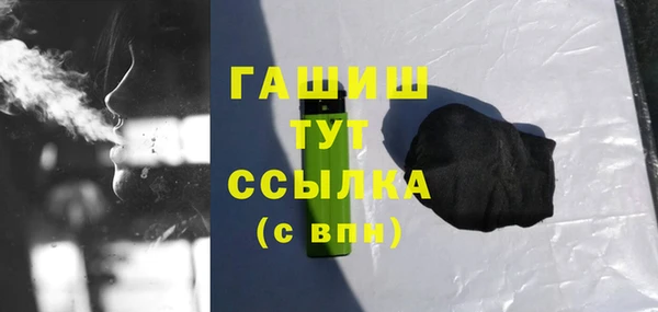шишки Верея