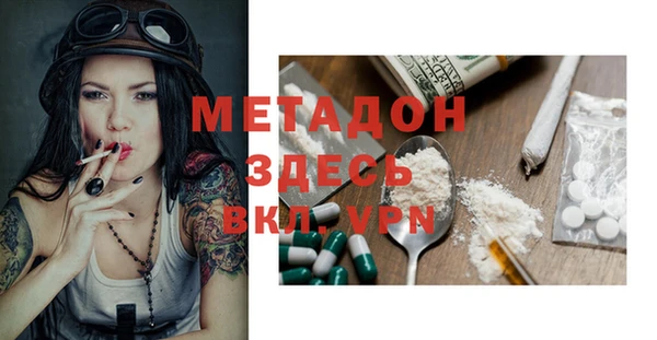 шишки Верея
