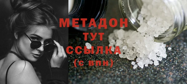 шишки Верея